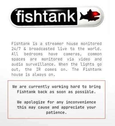 is fishtank.live down|fishtank